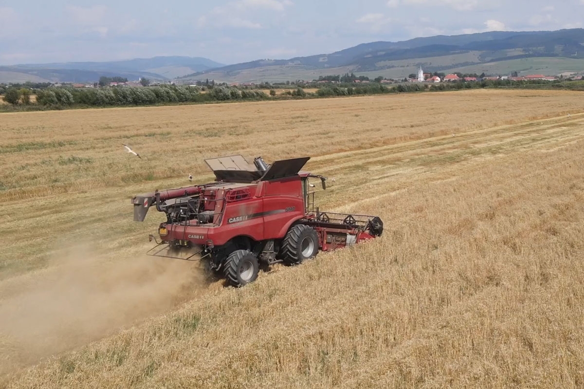 Térségi gazdaság támogatása